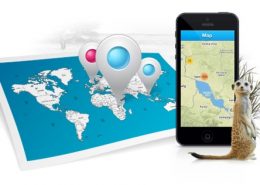 webgis