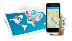 webgis