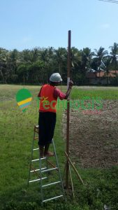 pemasangan patok