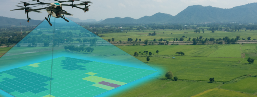 Citra Sensor NDVI