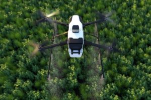tree counting | techno gis