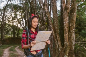 Cara Melihat Peta Kawasan Hutan Mengakses Informasi Hutan Secara Mudah