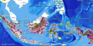 peta-kawasan-hutan-indonesia-visualisasi-lengkap-kawasan-hutan-di-indonesia