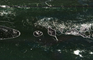 LIDAR Adalah: Memahami Teknologi Pemetaan Lidar