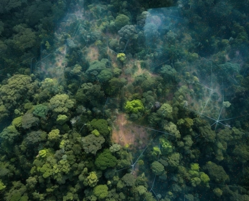 Biaya Survey LiDAR: Investasi Tepat untuk Pemetaan Presisi