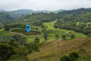 Jasa Lidar: Solusi Lengkap untuk Pemetaan LiDAR