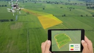 Jasa Mapping Drone