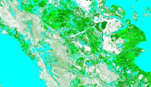 Lidar Indonesia Map