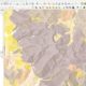 Cara Membuat Peta Topografi di QGIS Visualisasi Terbaik