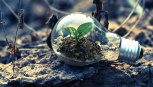 Ciri-Ciri Konservasi Energi: Upaya Pelestarian dan Penghematan Energi