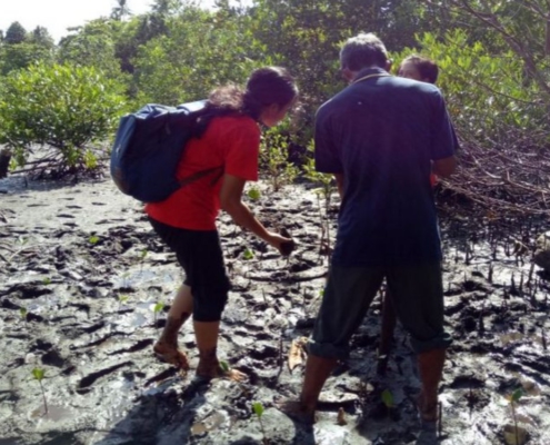 Apakah Konservasi Lingkungan Bisa Dilakukan Dengan Skala Kecil Secara Efektif?