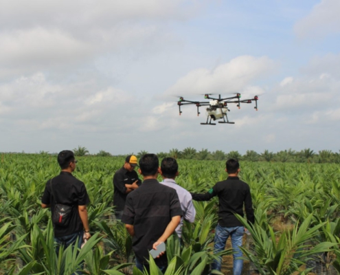 Pemetaan Perkebunan Kelapa Sawit Teknologi Drone Dan SIG Terbaru